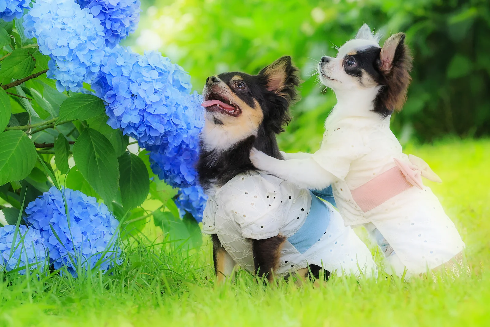 撮影会の様子 1