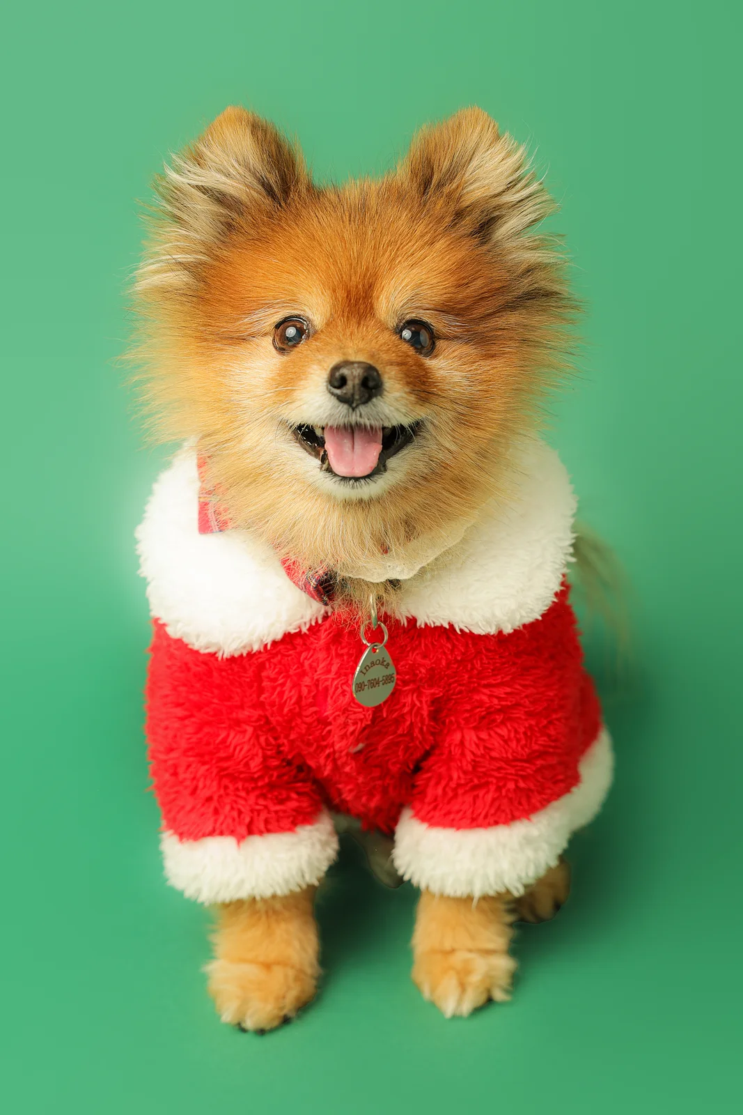 撮影会の様子 3