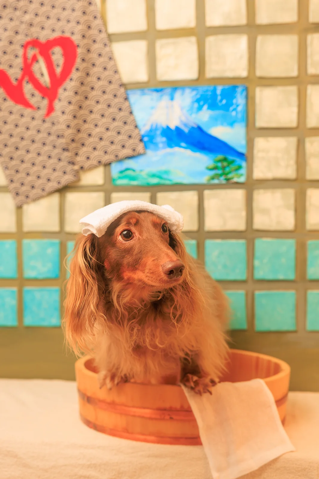 撮影会の様子 4