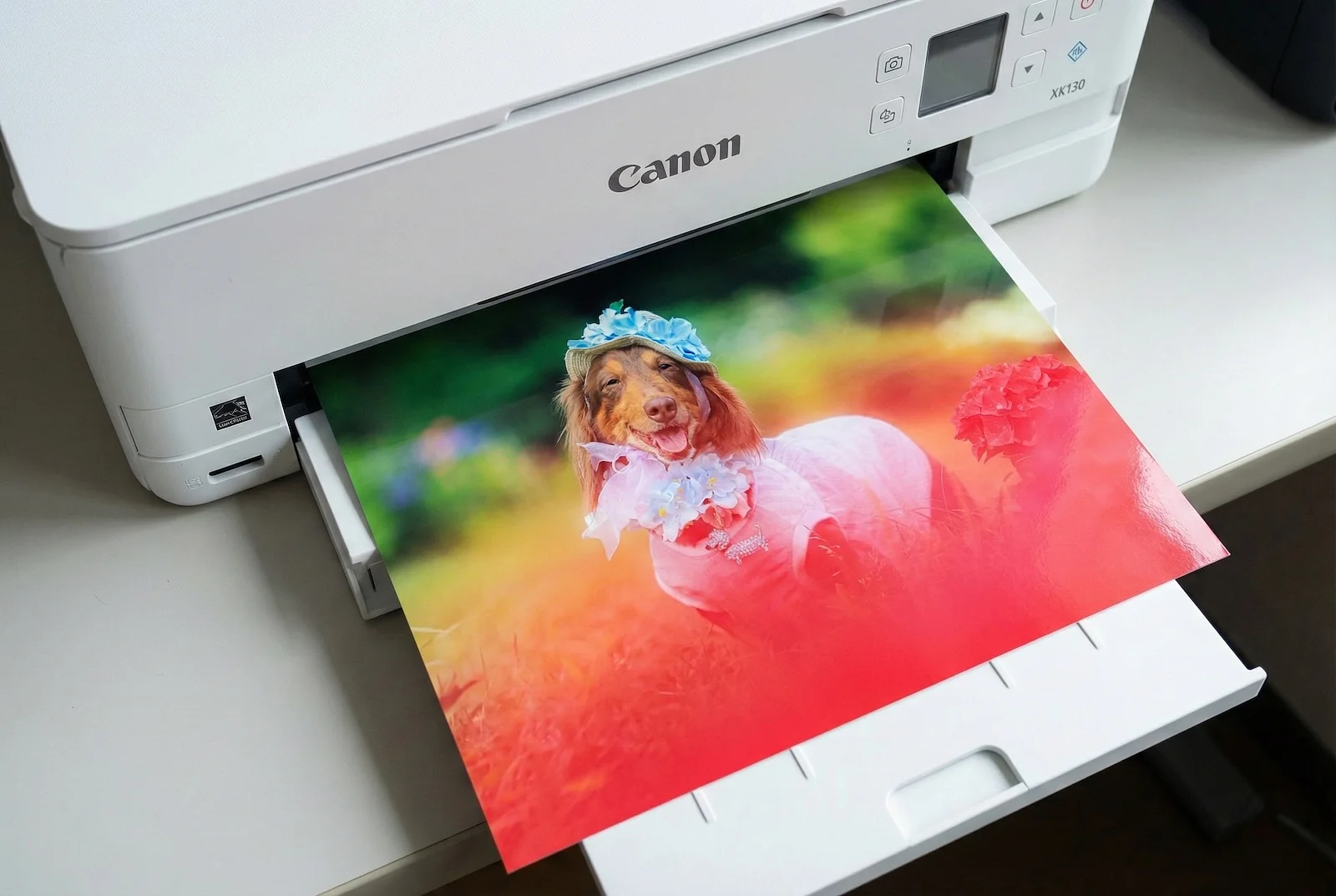 当日プリント（A4・2Lサイズ）